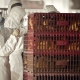 Mexikóba és Kínába is visszatért a madárinfluenza