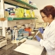 A hármas típusú sertés circovírus terjedését vizsgálták Spanyolországban