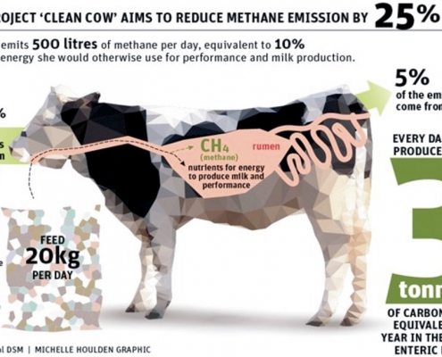 Étrendi változtatások a metánkibocsátás csökkentéséért