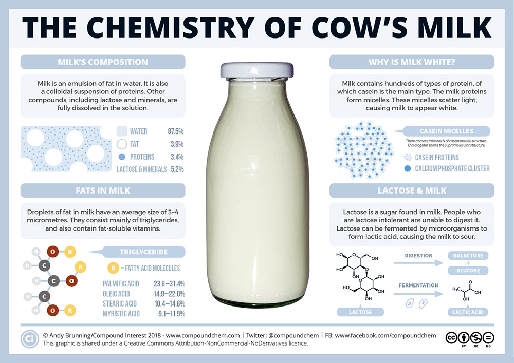 Laktóz helyett zsír – a borjú tejpótló tápszereket vizsgálták