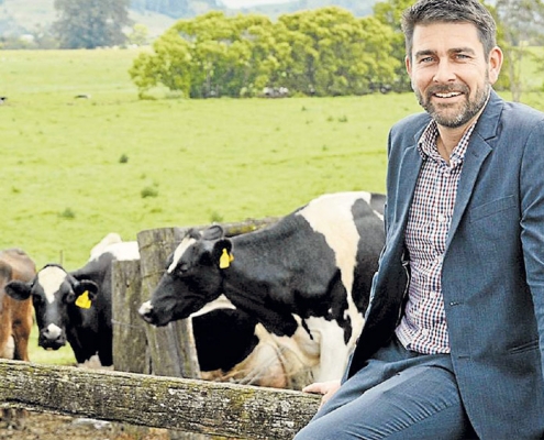 Óvatos optimizmus a globális tejpiacon